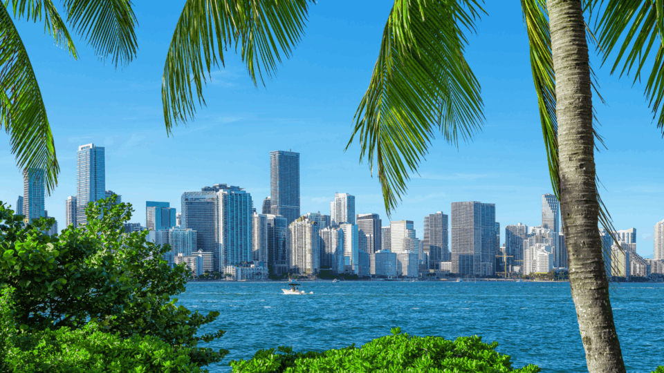 marketing agency miami