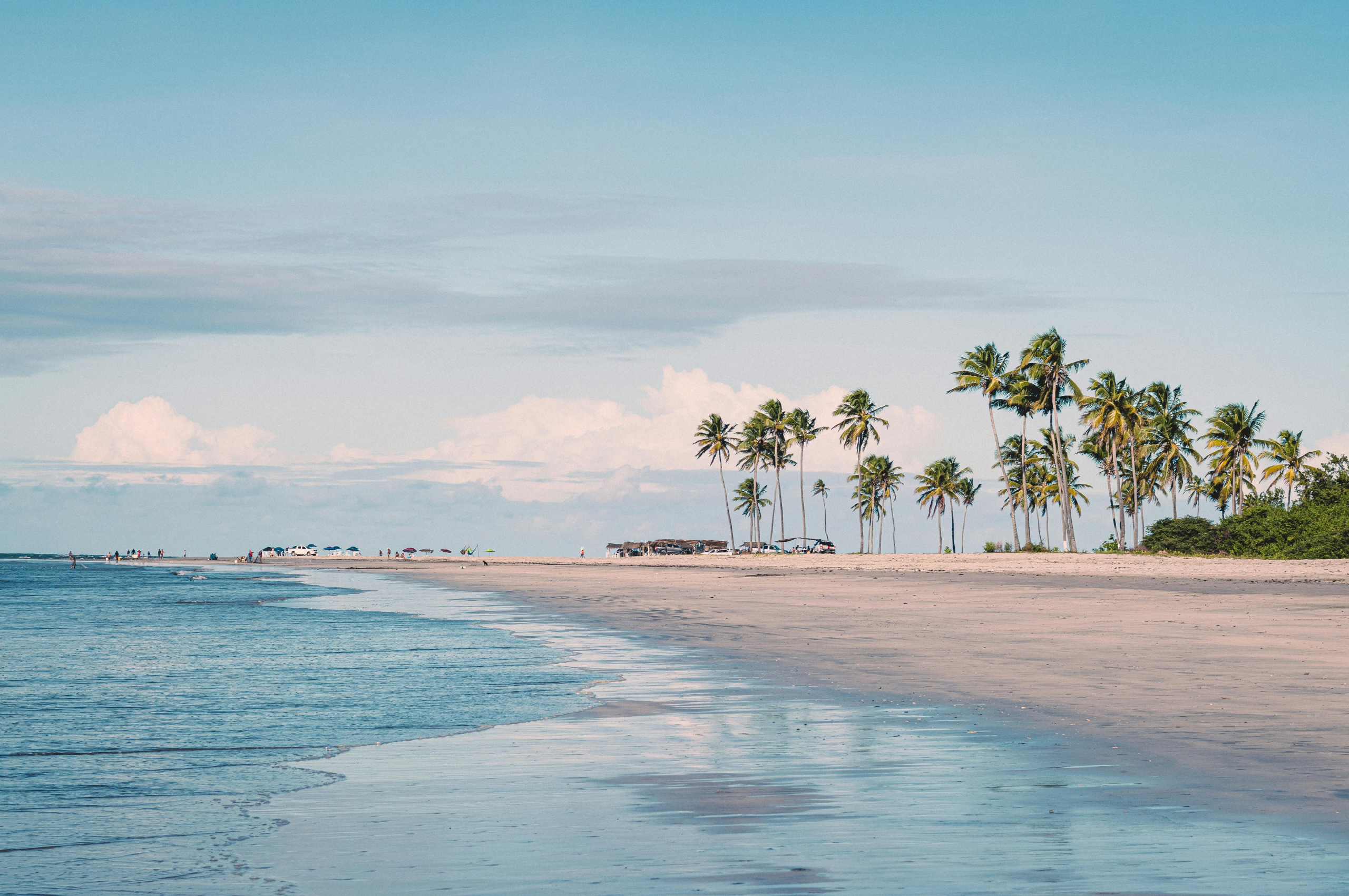 Q&A: What Do You Need to Know About Marketing?