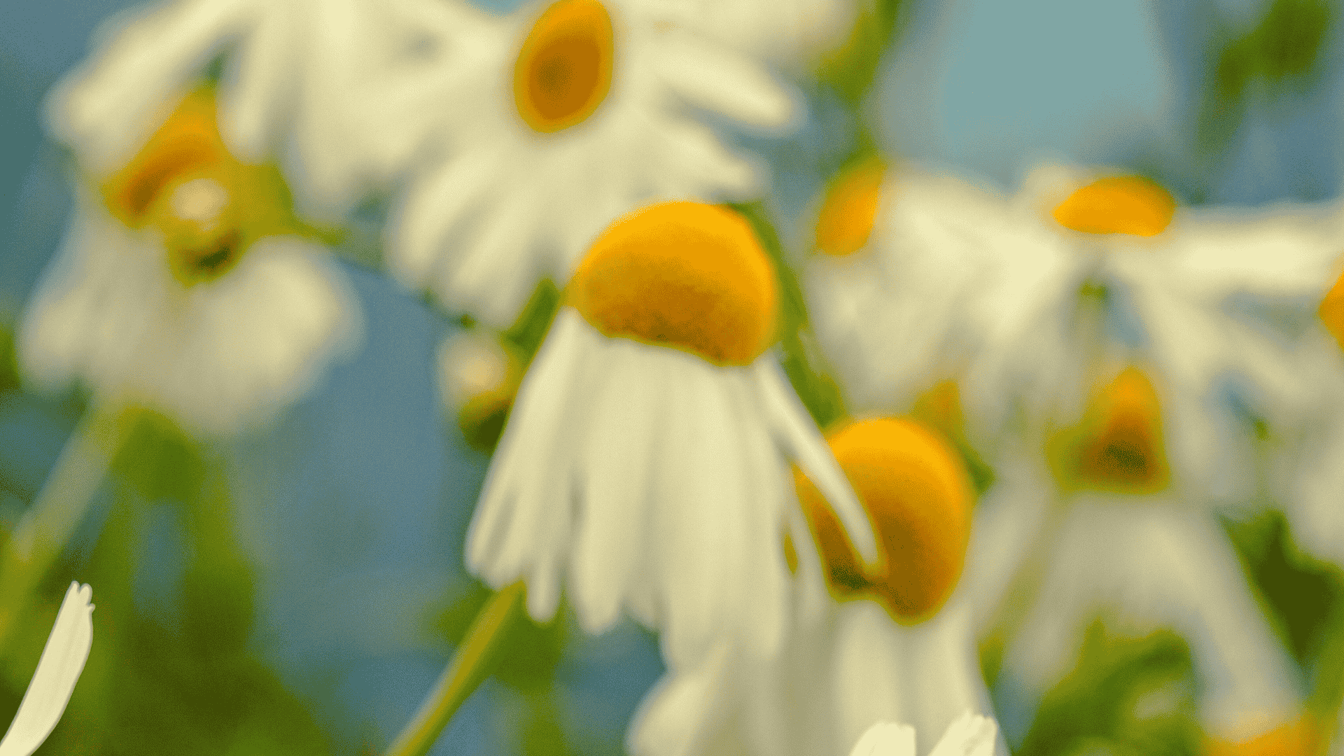 Investment Banking Marketing