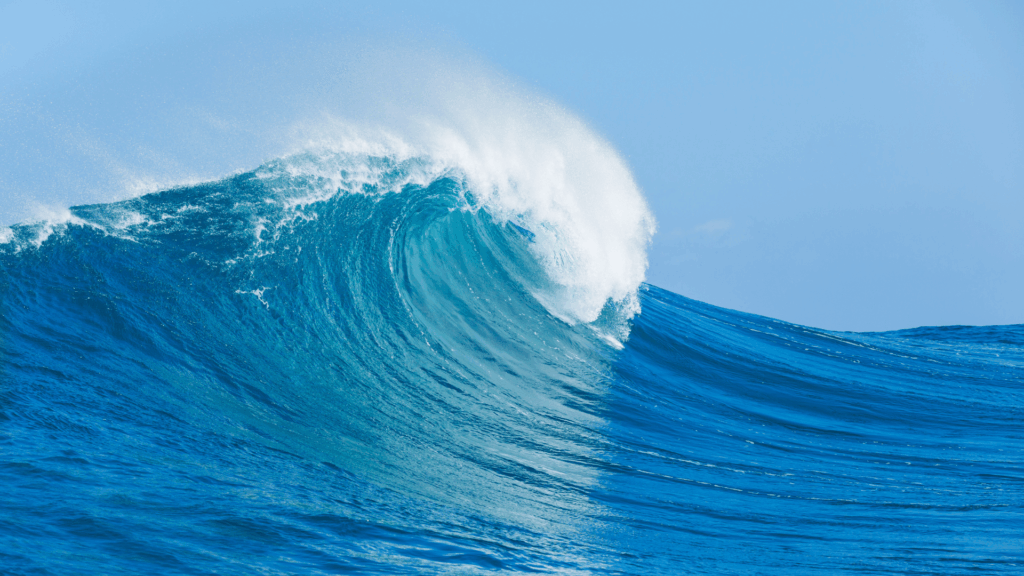 Financial Marketing Services