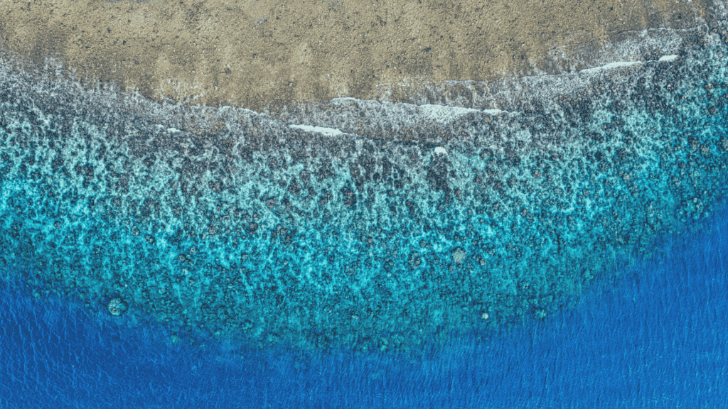 Accounting Firm Marketing