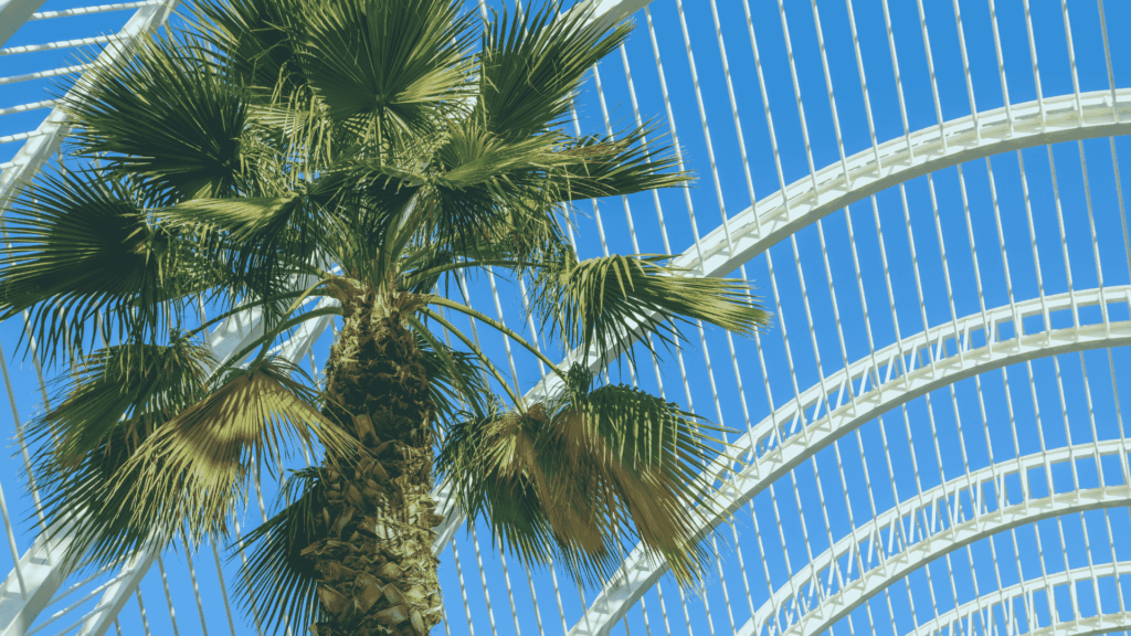 Broker Dealer Marketing Agency