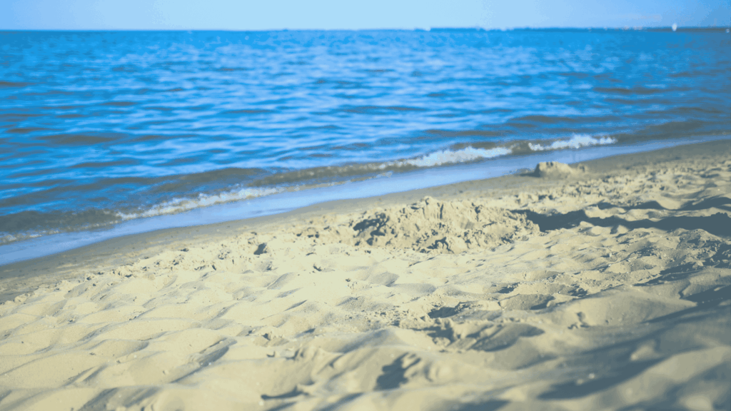 Family Office Marketing