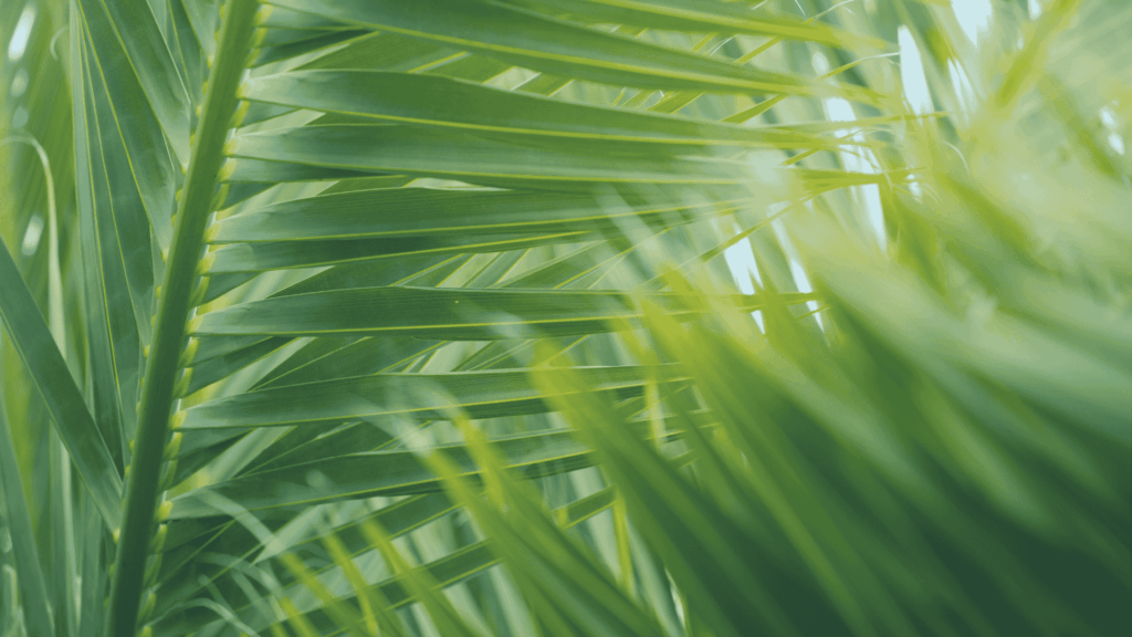 Hedge Fund Marketing