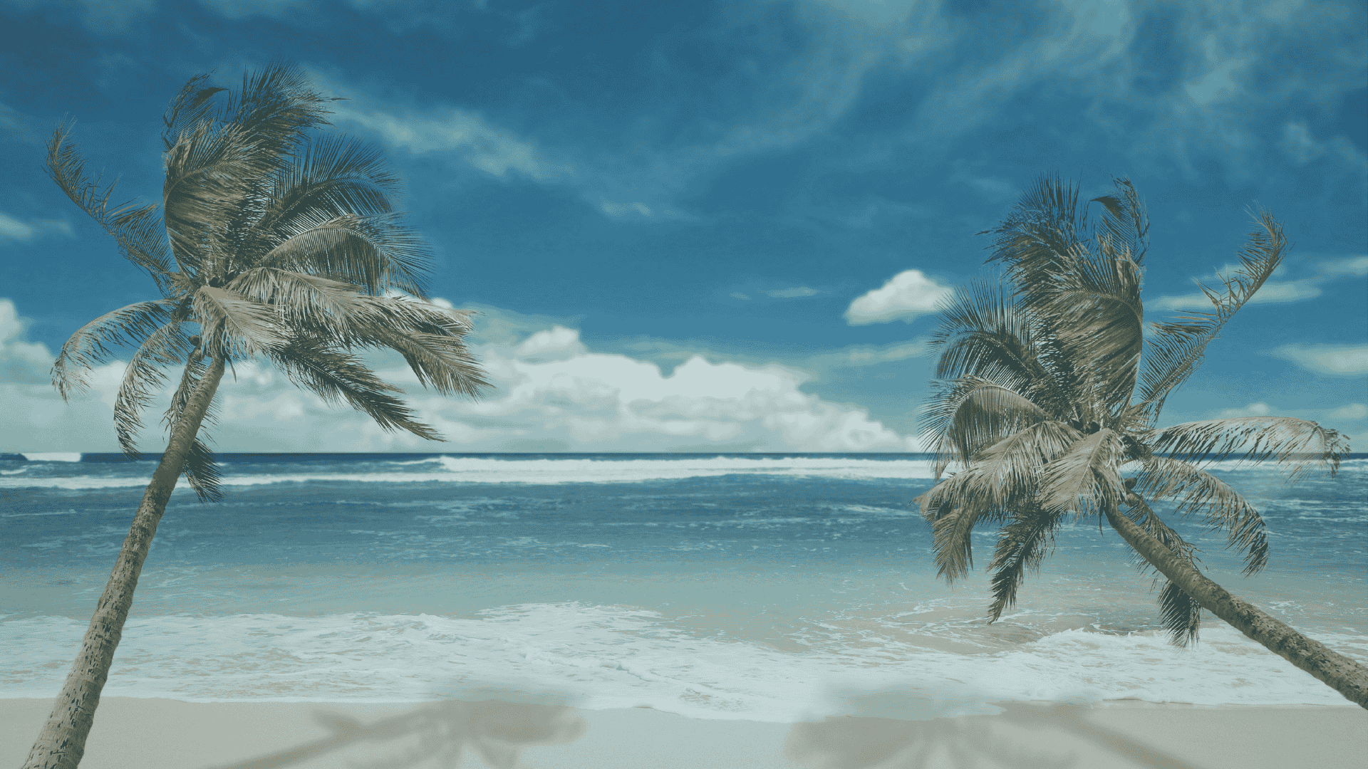 financial website design